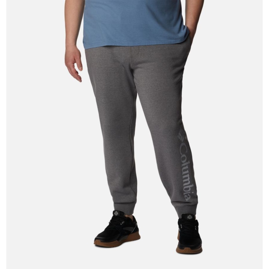 City ​​grey Heather/columbia Grey Columbia Csc Logo Ii Flee Joggers גודל מורחב