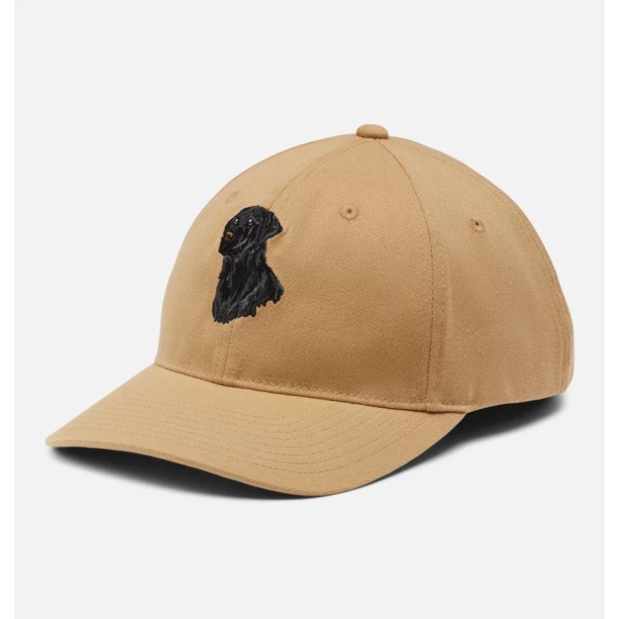 Phg Sharptail Dad Cap Columbia Sahara/black Lab